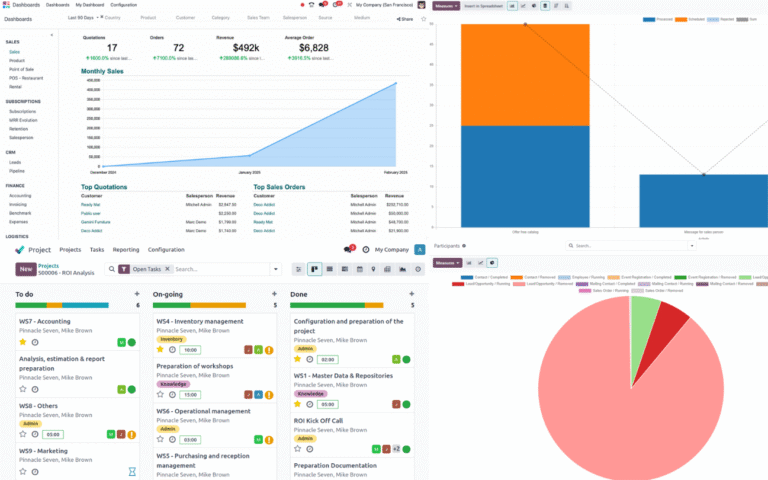 Softeko Odoo Stats